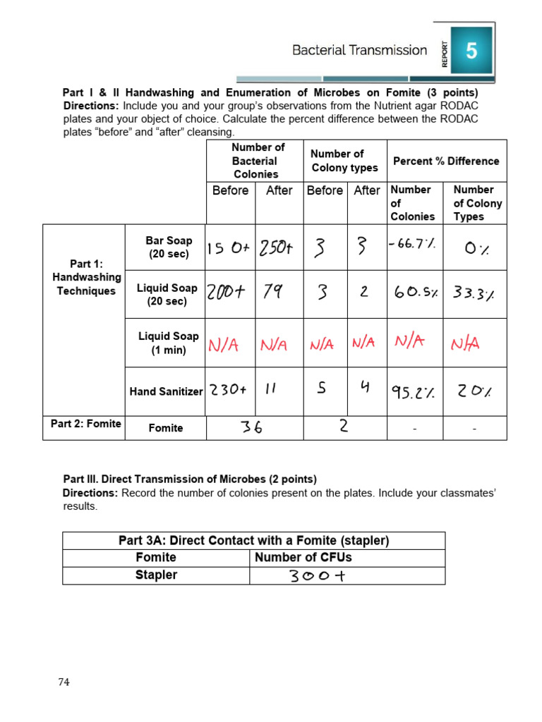 Experiment+5+Bacterial+Transmission | PDF