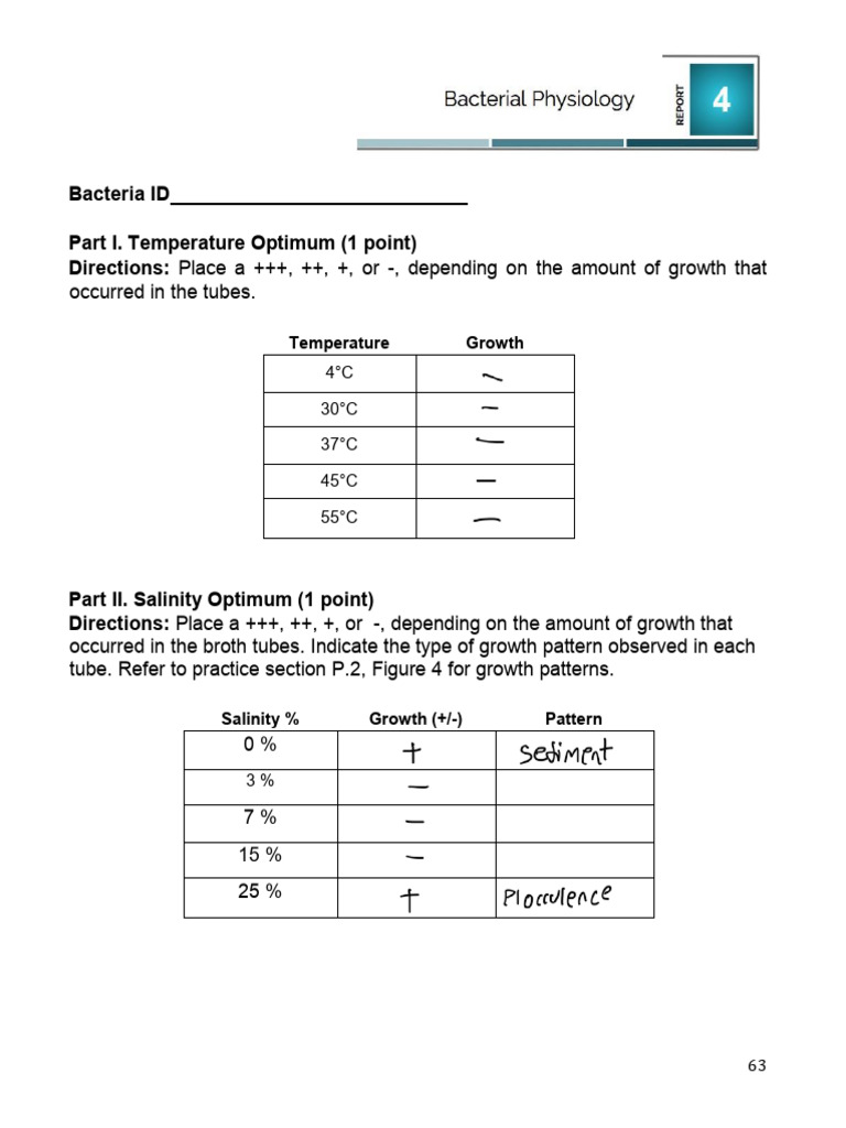 Experiment+4+Bacterial+Physiology | PDF