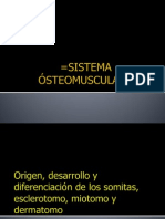 Sistema Ósteomuscular