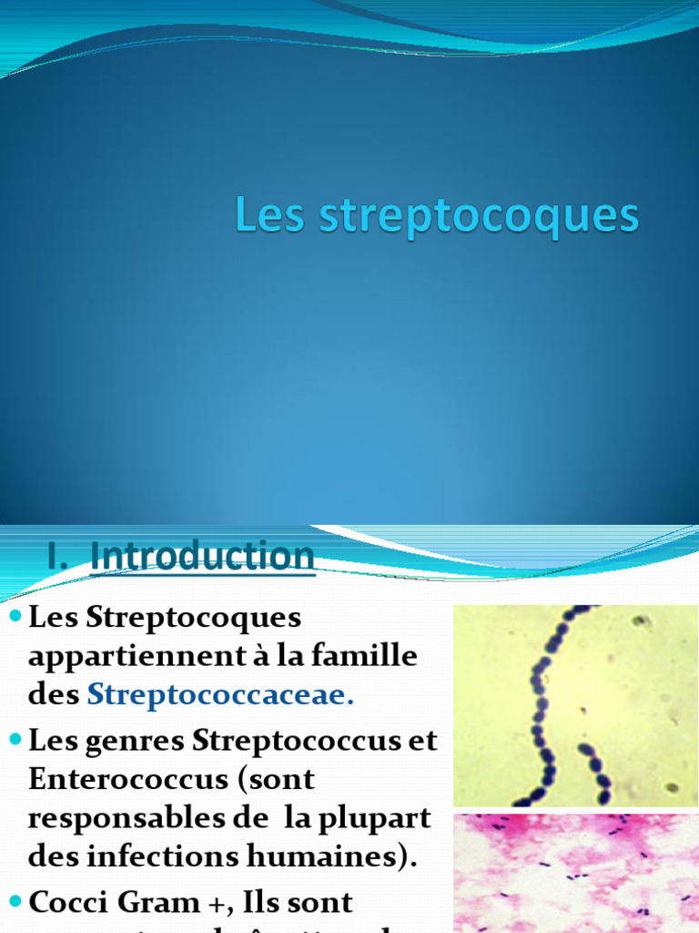 Bacterio3an19 Streptocoque | PDF