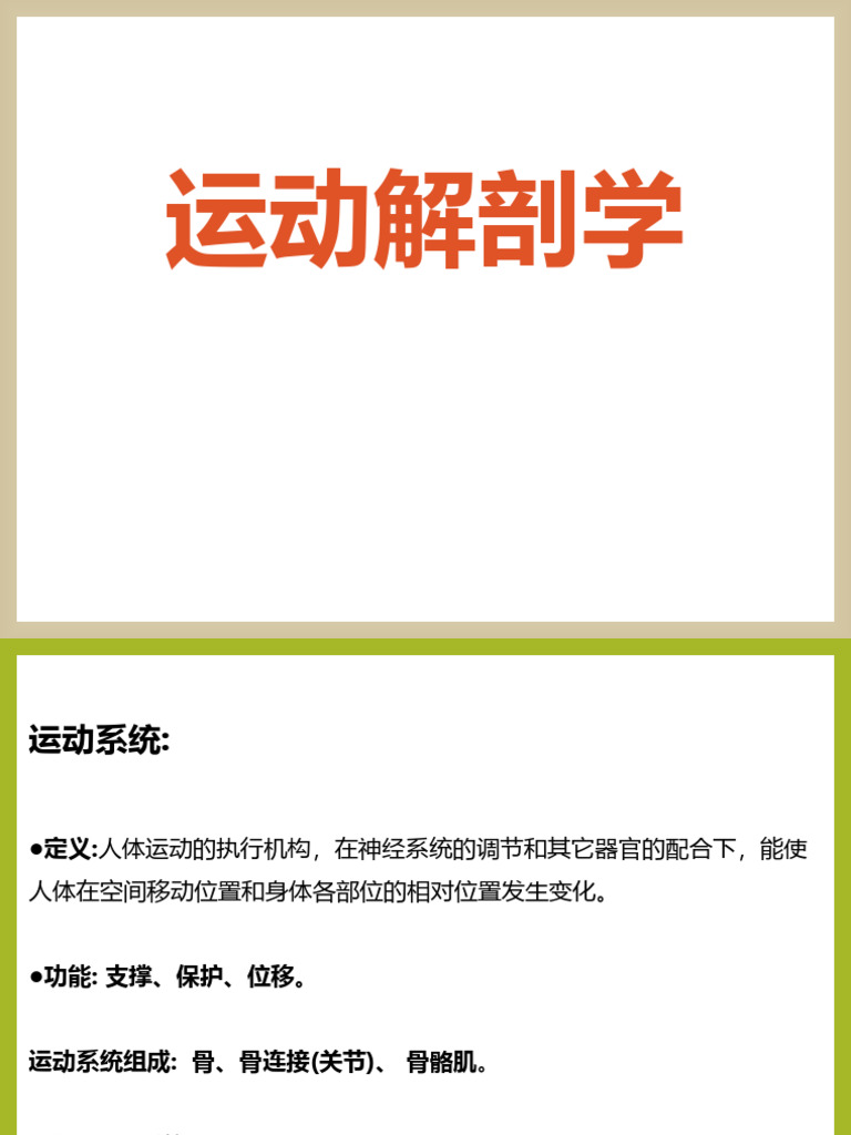 人体解剖学之骨胳简1 | PDF