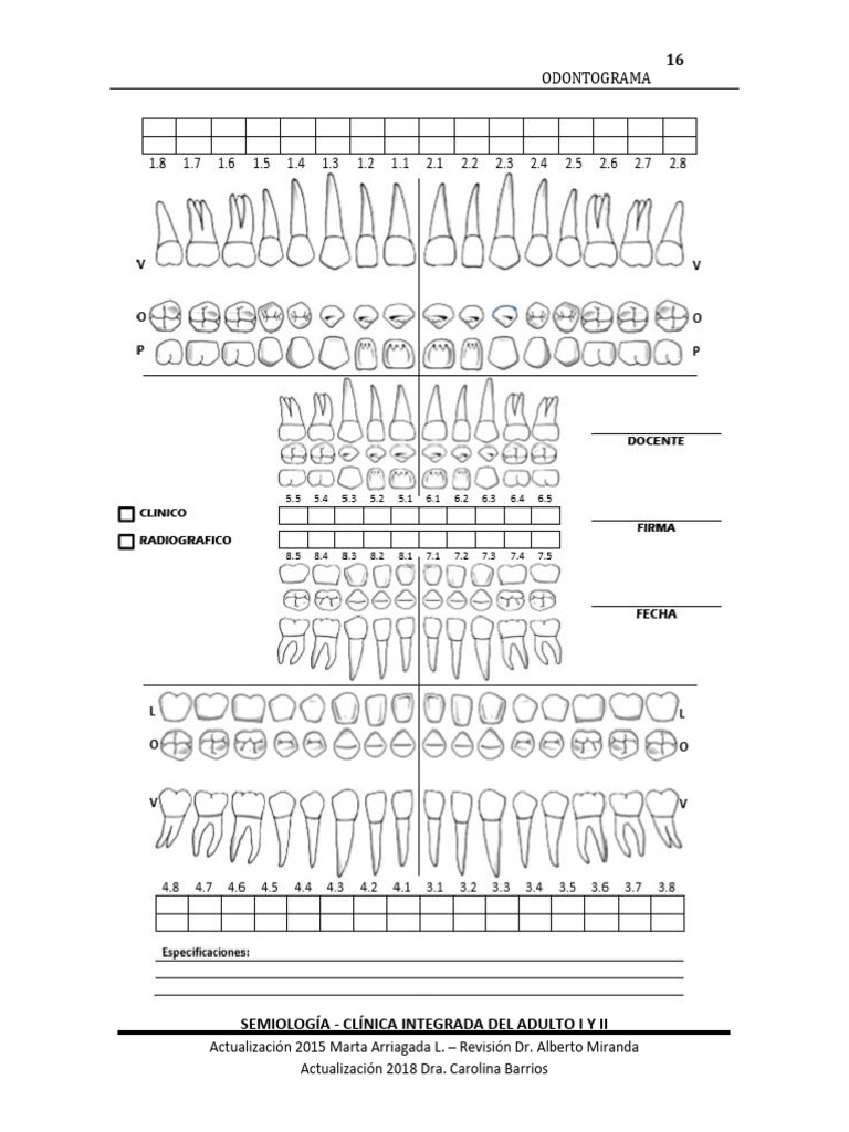 Toaz - Info Odontograma Actualizado 2018 1pdf PR | PDF