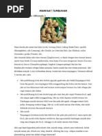 Download MANFAAT TUMBUHAN by H Putra Hasibuan SN76564774 doc pdf