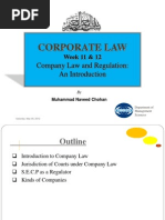 Corporate Law: Company Law and Regulation: An Introduction