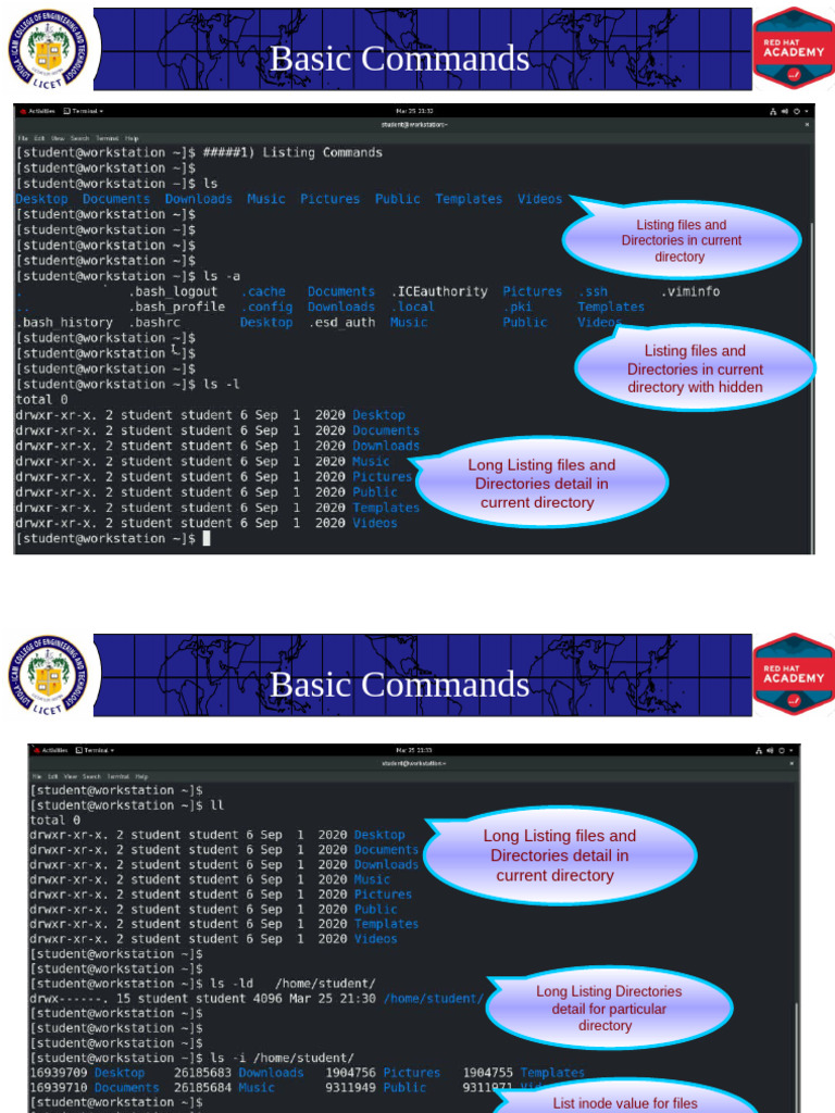 Basic Commands | PDF