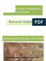Describing From of Adaptations of Animals