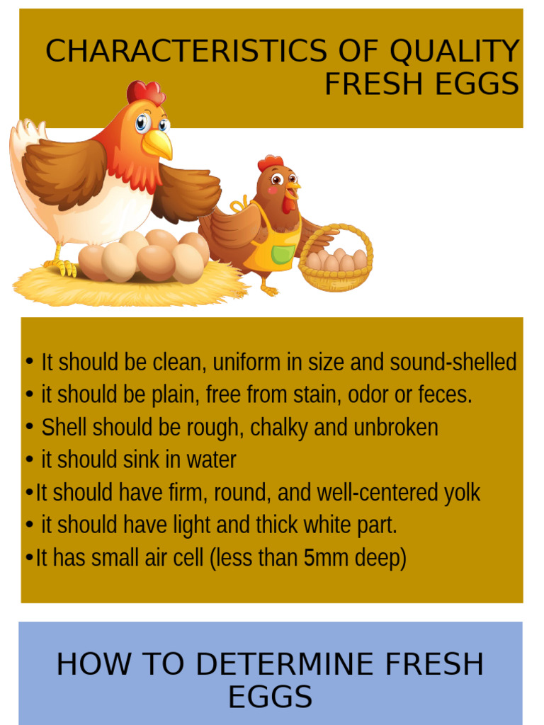 Characteristics of Quality Fresh Eggs | PDF
