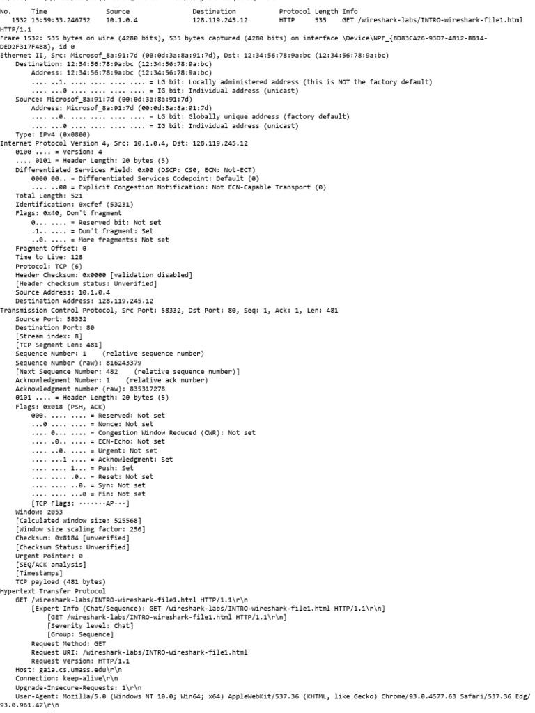 Wireshark pdf