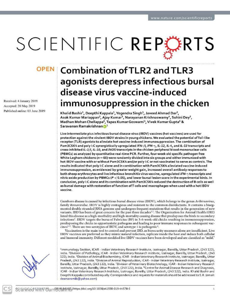 Scientific Report Final | PDF