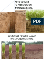 Pasto Vetiver Sus Raices Milagrosas