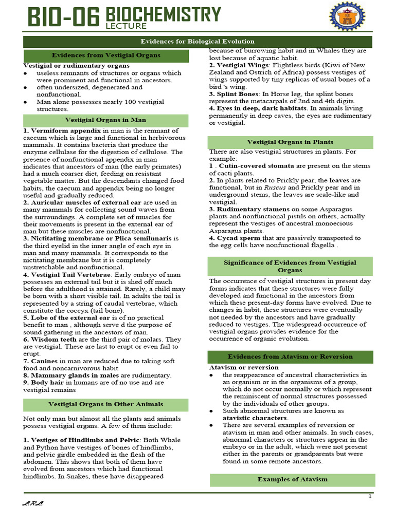 Evidences For Biological Evolution Trans | PDF