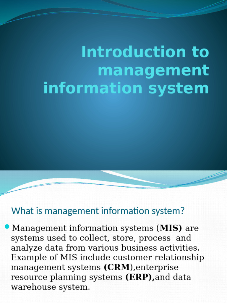Introduction To Management Information System 22 | PDF
