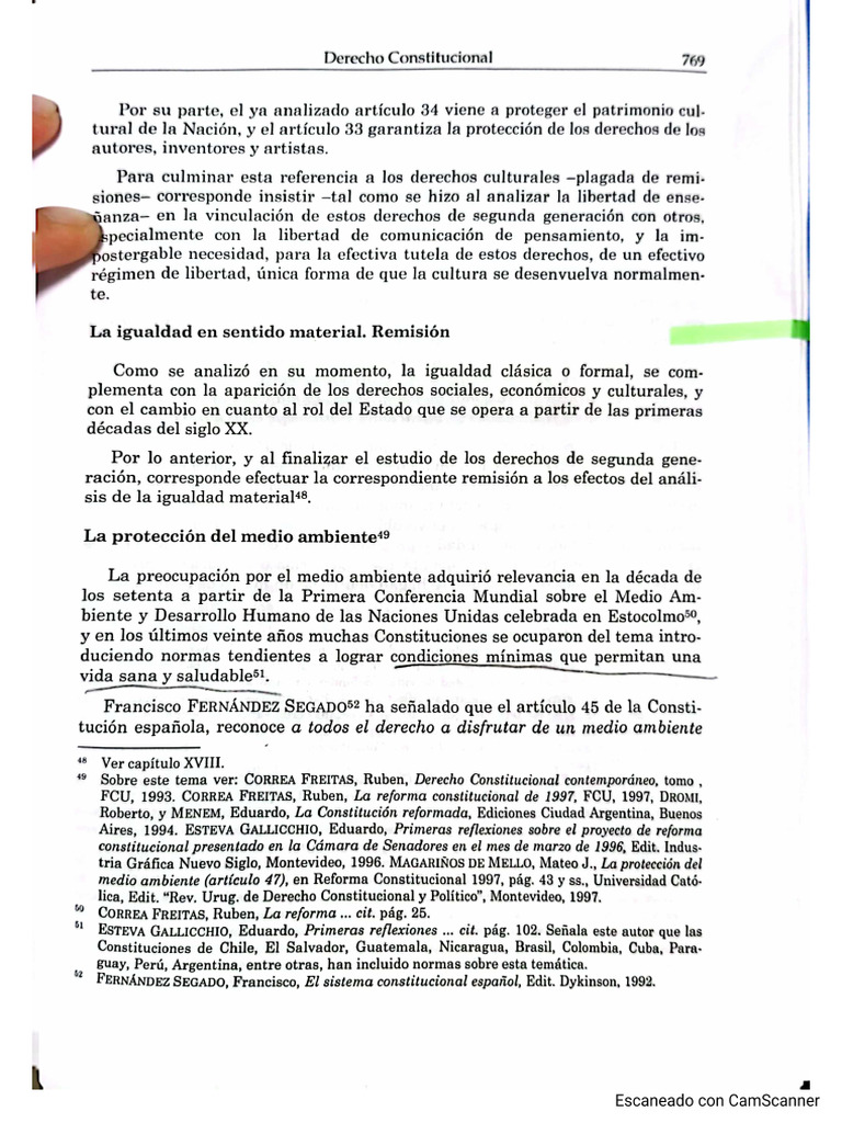 La Protección Del Medio Ambiente - Martín Risso | PDF