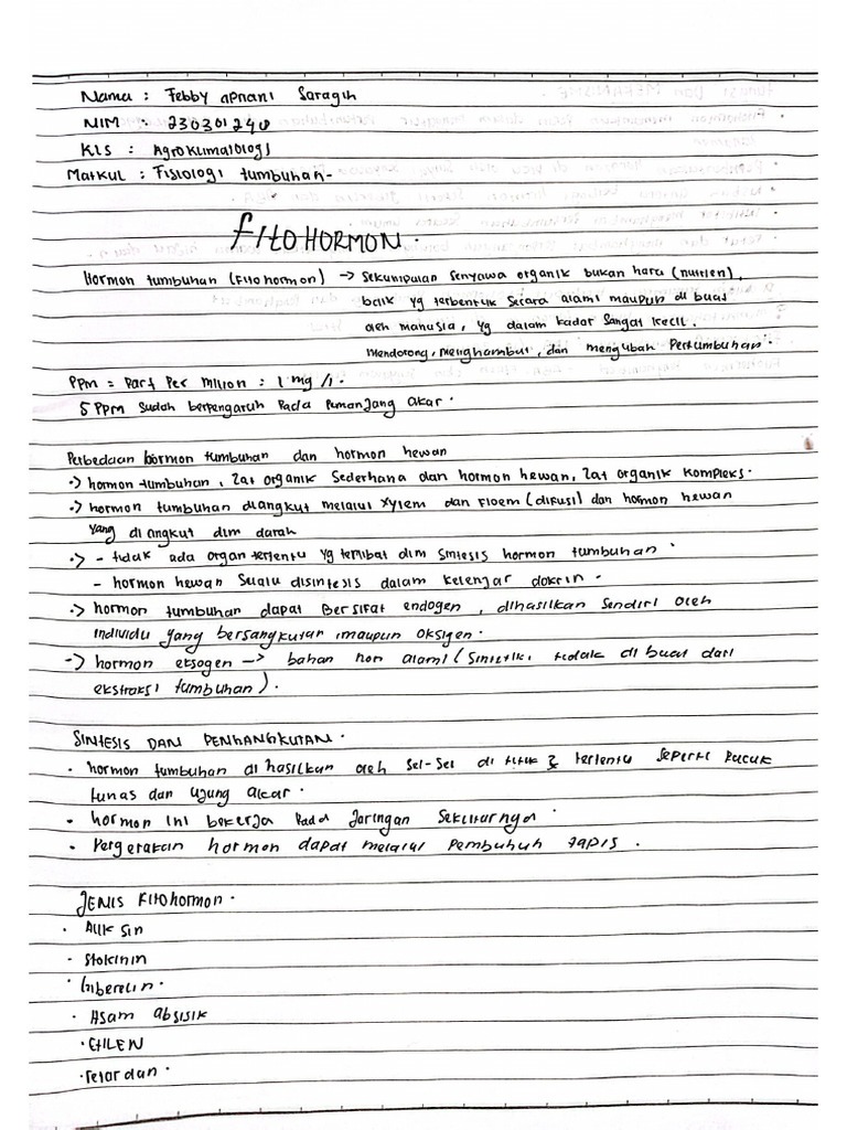 fistum-pdf