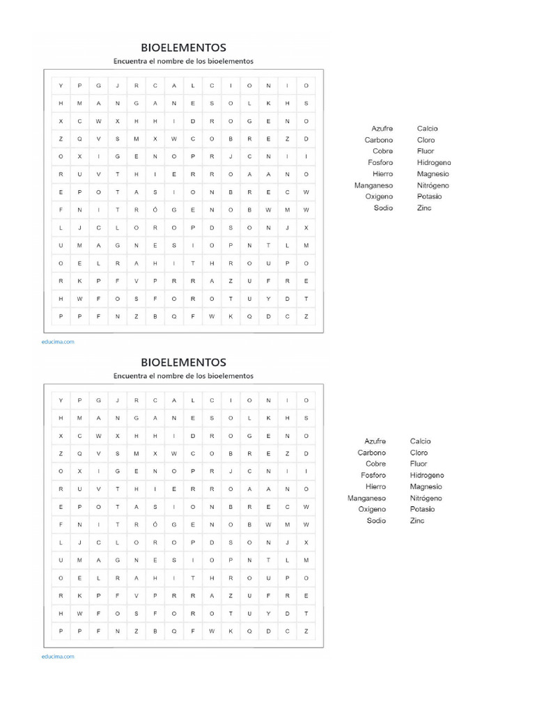 Sopa de Letras Bioelementos | PDF