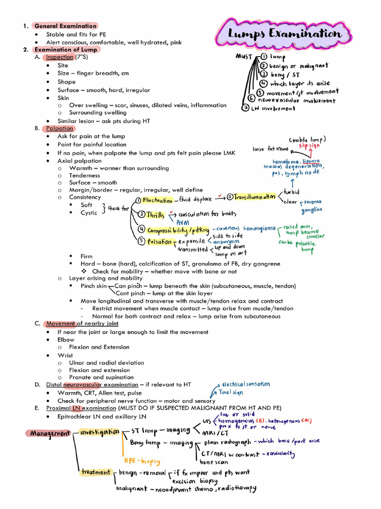 Lumps Exam | PDF