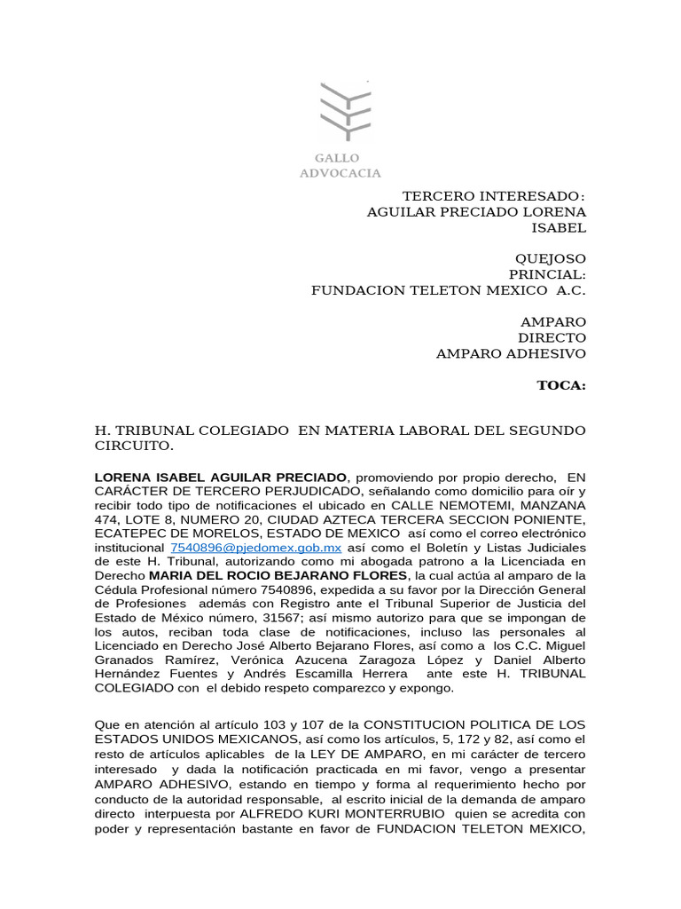 Amparo Adhesivo Pdf Pdf