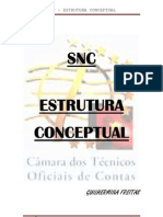 SNC Estrutura conceitual história evolução