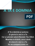 A TA E DOMNIA