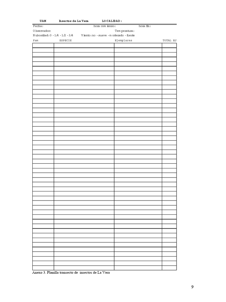 Plantilla para Observación de Insectos | PDF