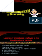 Classification & Identification