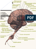 Anatomia Humana Tomo3 Archivo1