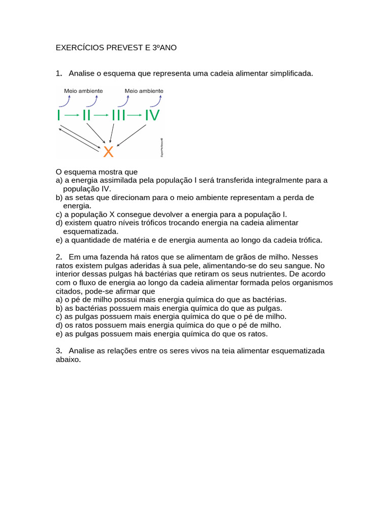 Exerc cios prevest e 3 ano pdf