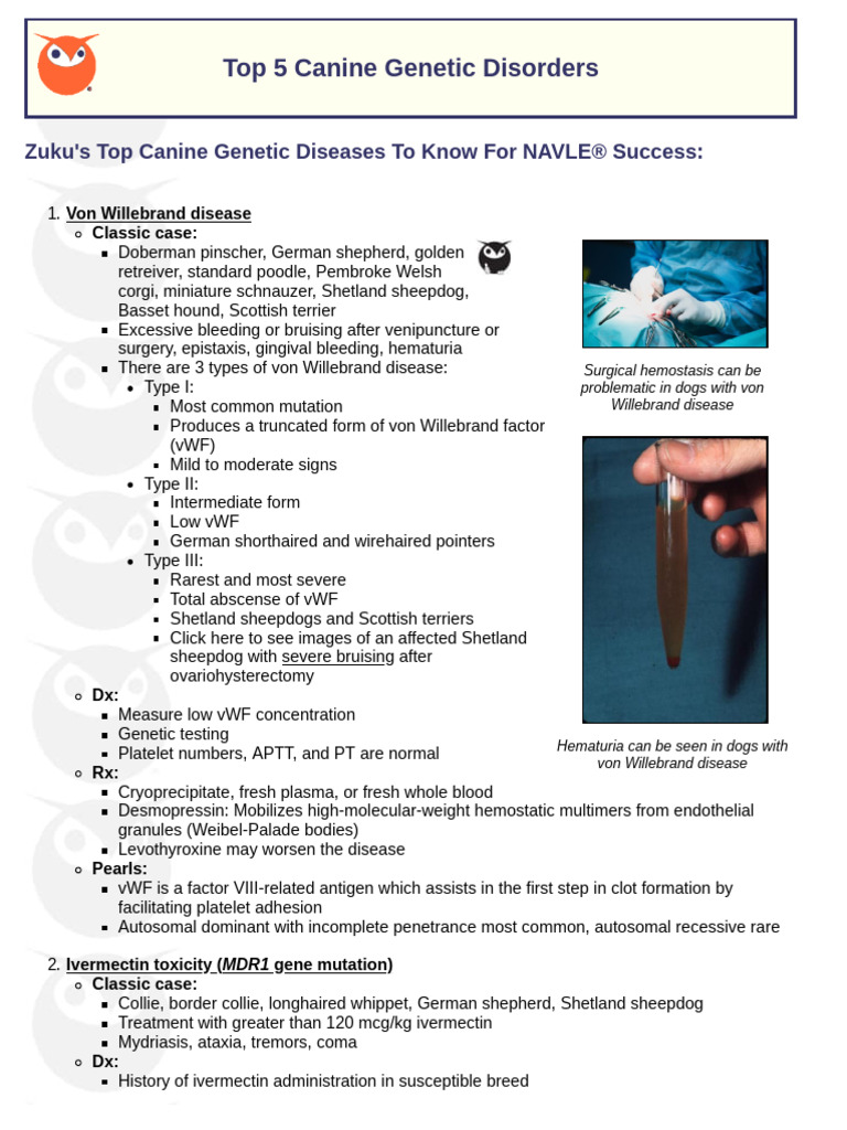 View of Top 5 Canine Genetic Disorders 0 | PDF