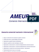 Ameur Comercio Internacional - Diciembre2009