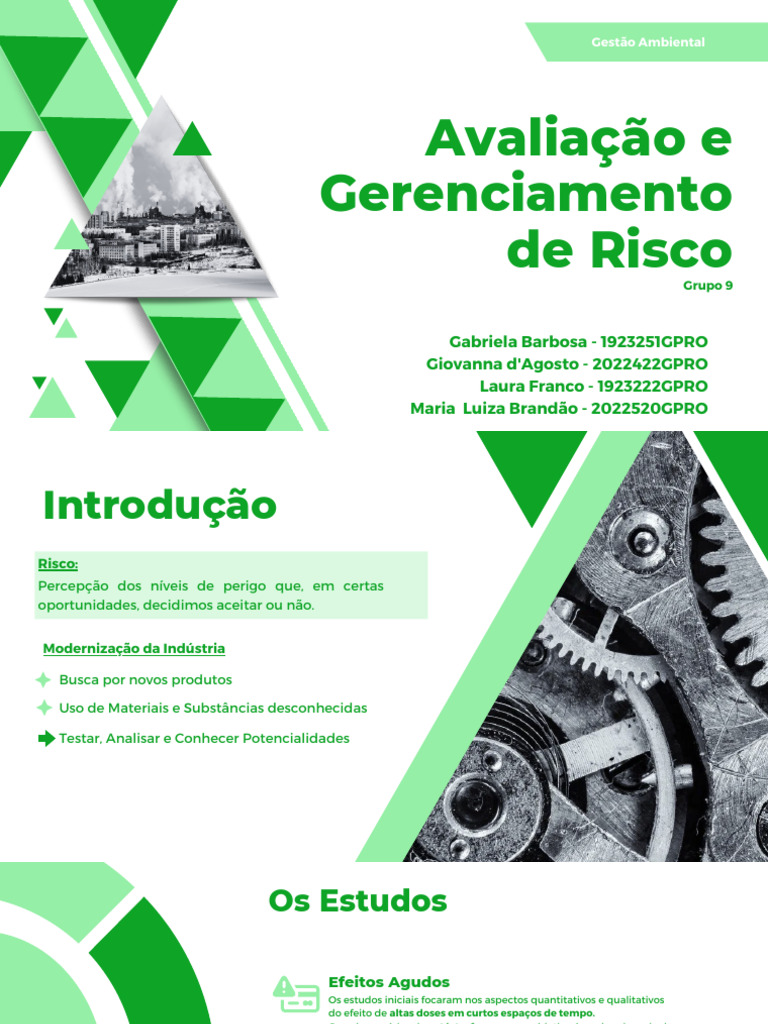 Avaliação e Gerenciamento de Risco | PDF