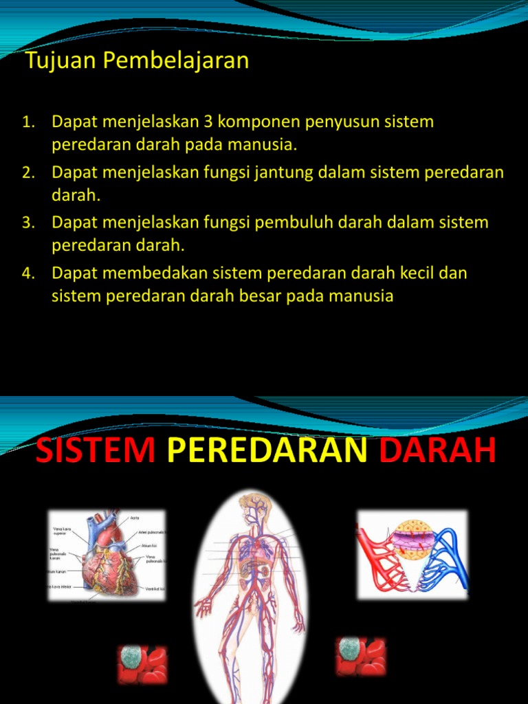 Sistem Peredaran Darah Ppt