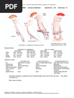 Average Monkey Weight by Age | PDF | Monkey