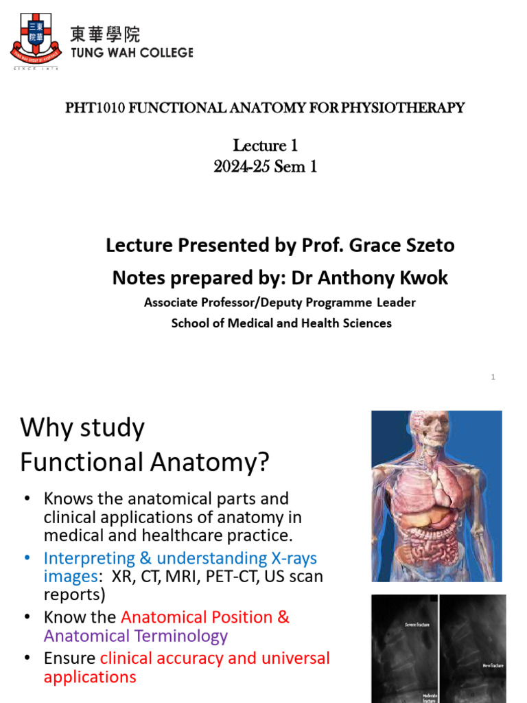 Lecture 1 Functional Anatomy 2024 - New | PDF | Anatomical Terms Of ...