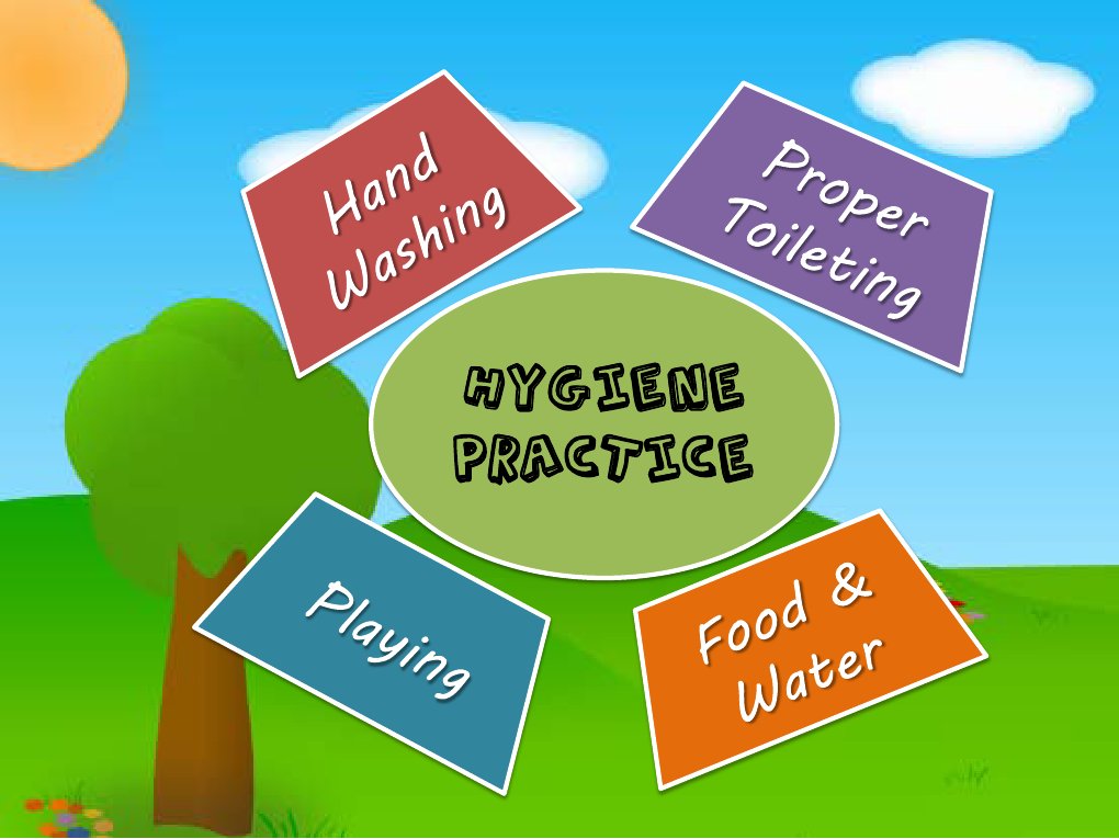 Essential Hygiene Practices Guide | PDF