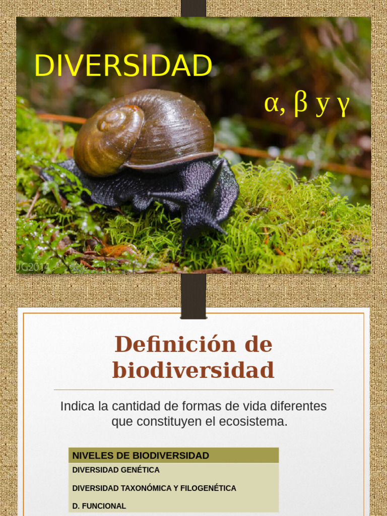 12-diversidad-alfa-pdf