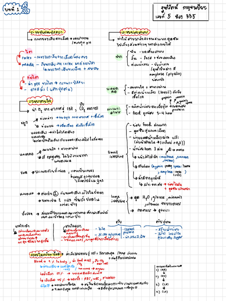Health Sum | PDF
