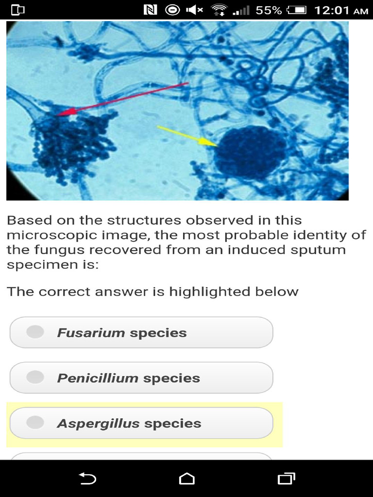 LabCe Microbiology 2 | PDF