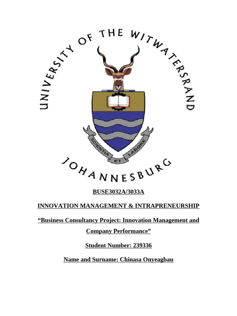 Innovation Assignment Final | PDF