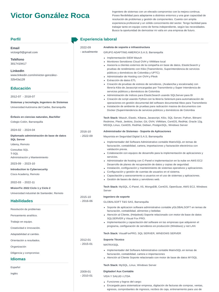 Ingeniero de Sistemas: Perfil Profesional | PDF | Servidor SQL de ...