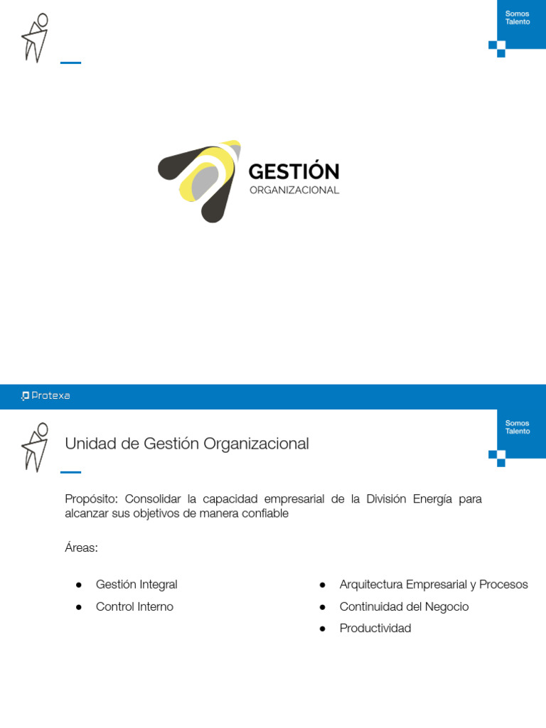 0.3.-Unidad de Gestión Organizacional | PDF | Business | Planificación