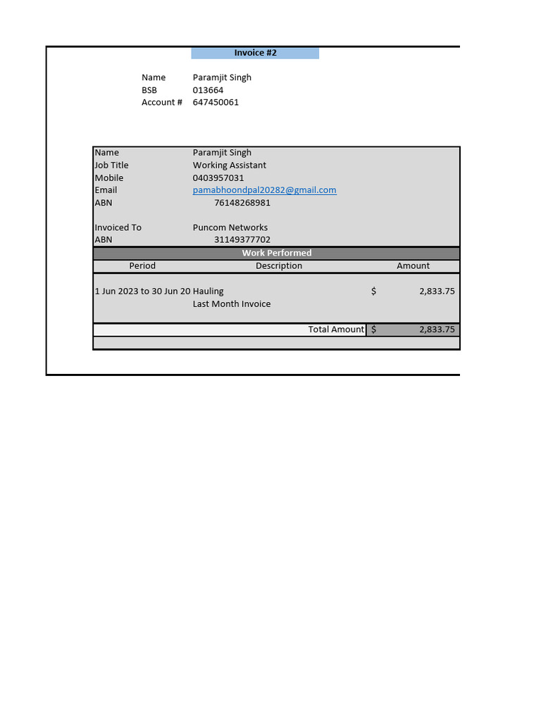 Invoice Paramjit Jun | PDF