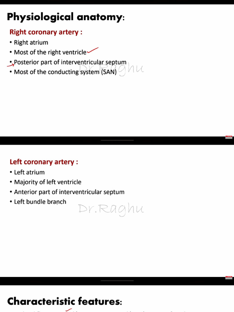 Coronary Circulation | PDF