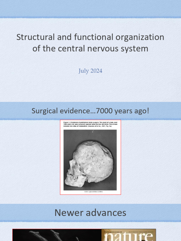 Structural and functional organization of the central nervous system pdf
