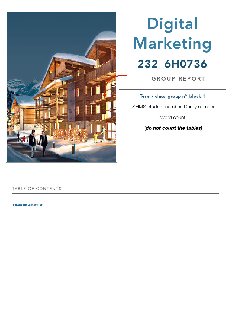 232 - Digital Marketing Report Template | PDF