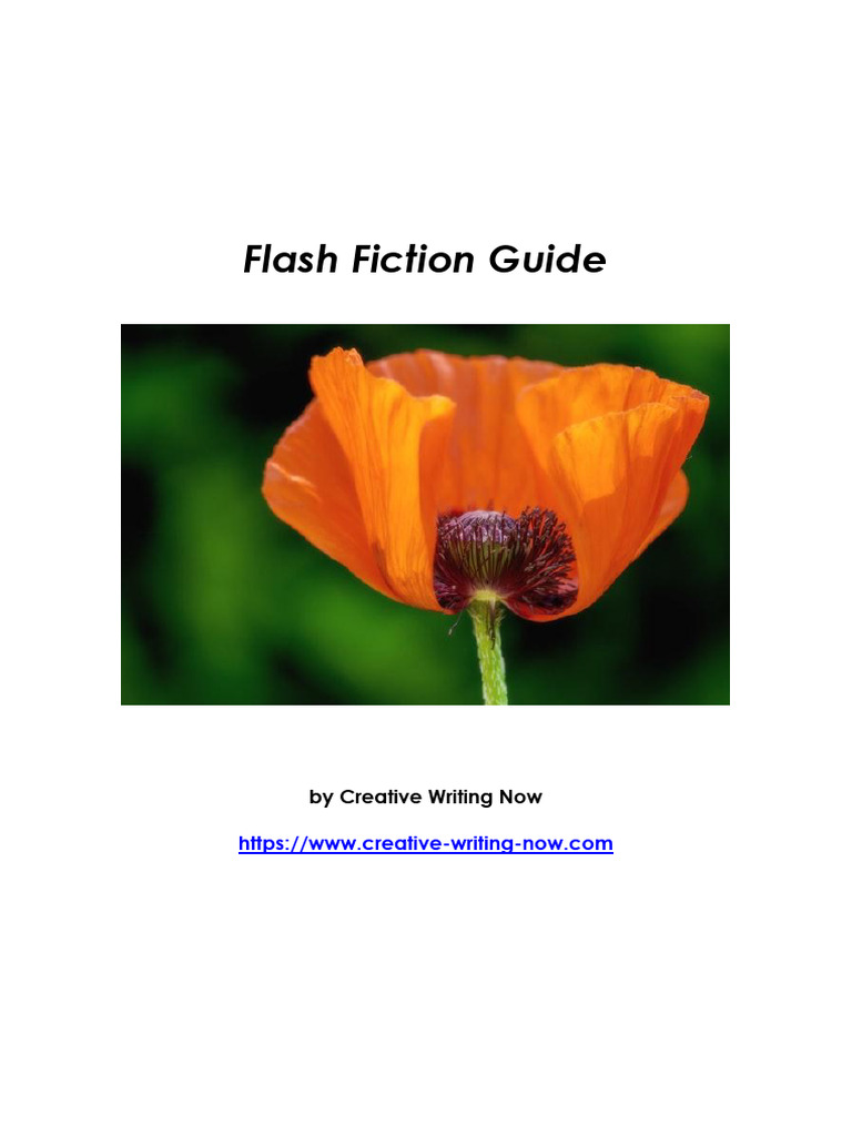 Flash Fiction Guide | PDF