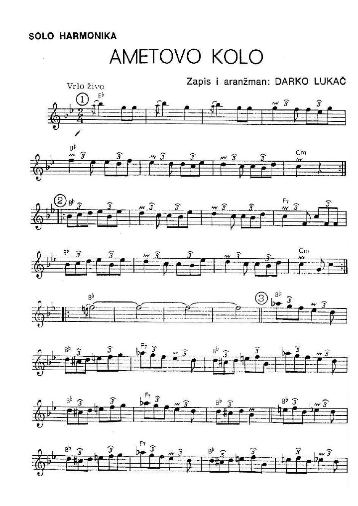 Narodna Kola Darko Lukaƒ | PDF