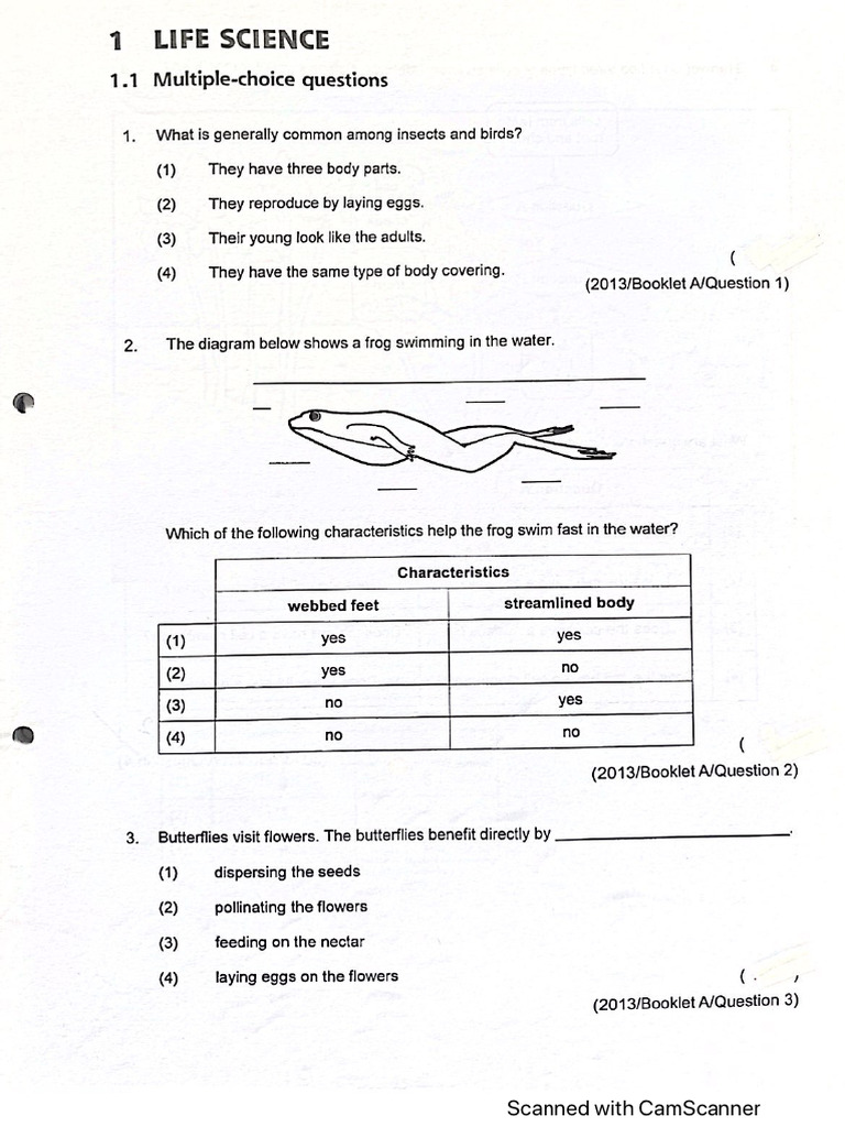 PSLE 2013 Science | PDF