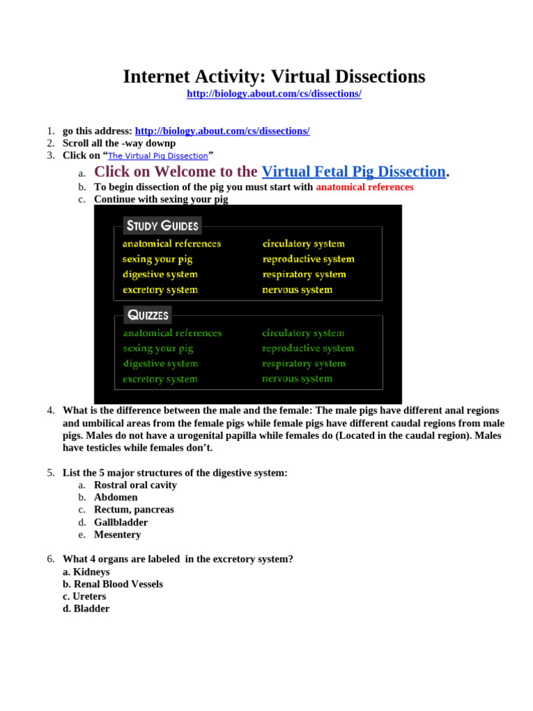 Internet Activity Virtual Dissections | PDF