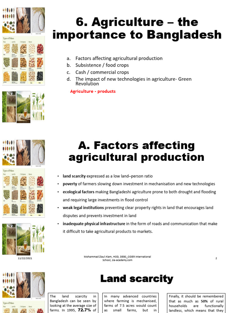 BDS Paper 2 CH - 6 | PDF
