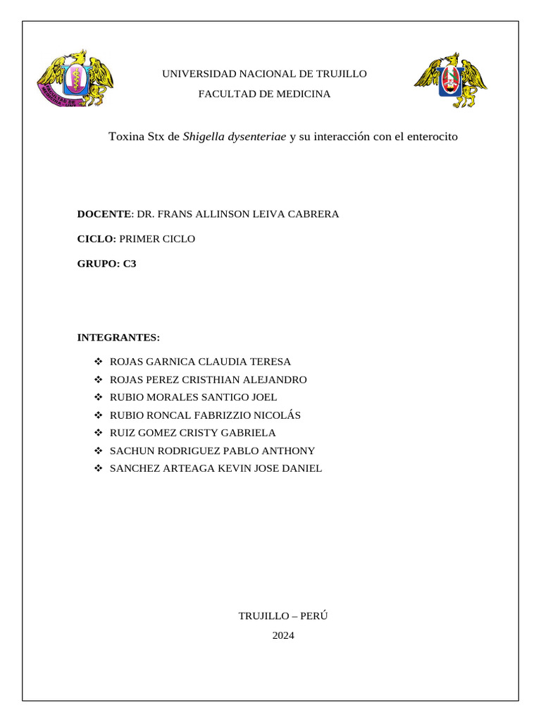 Informe Final Final Pdf
